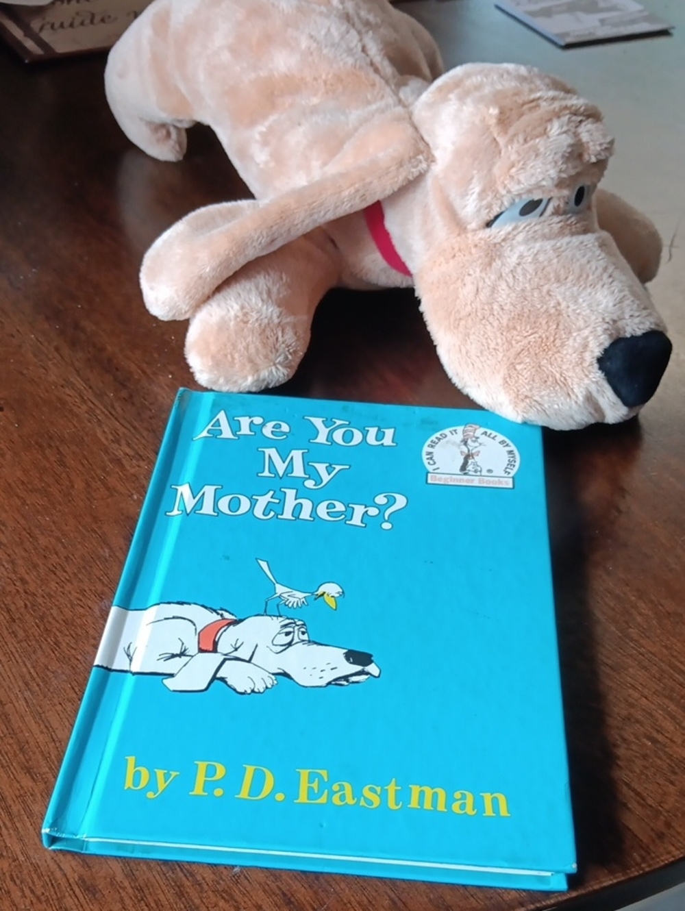 Dr. Suess "Are You My Mother?" Book And Stuffed Animal